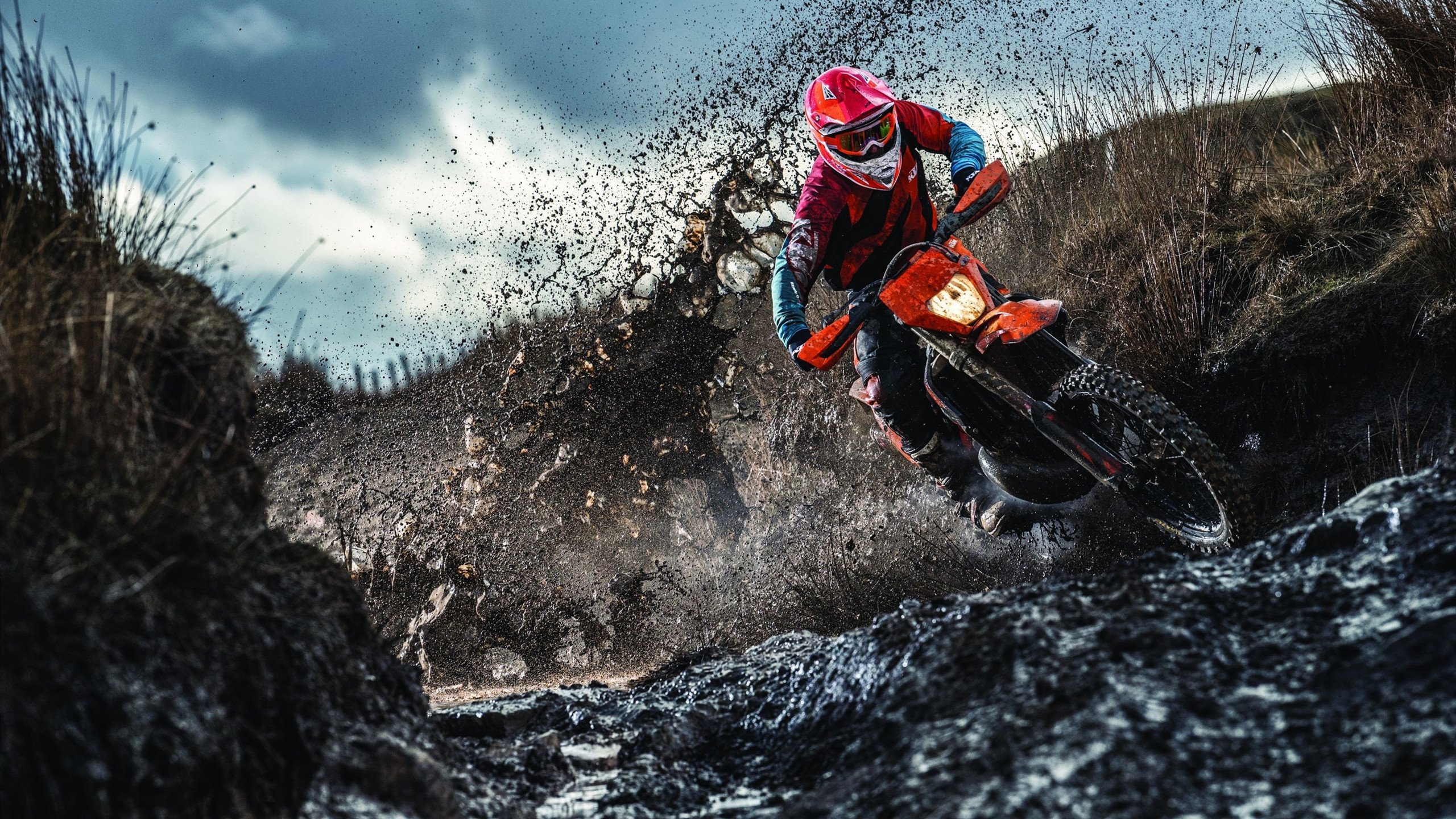 FaZe电竞品牌拓展LOL内容创作,fatail电竞