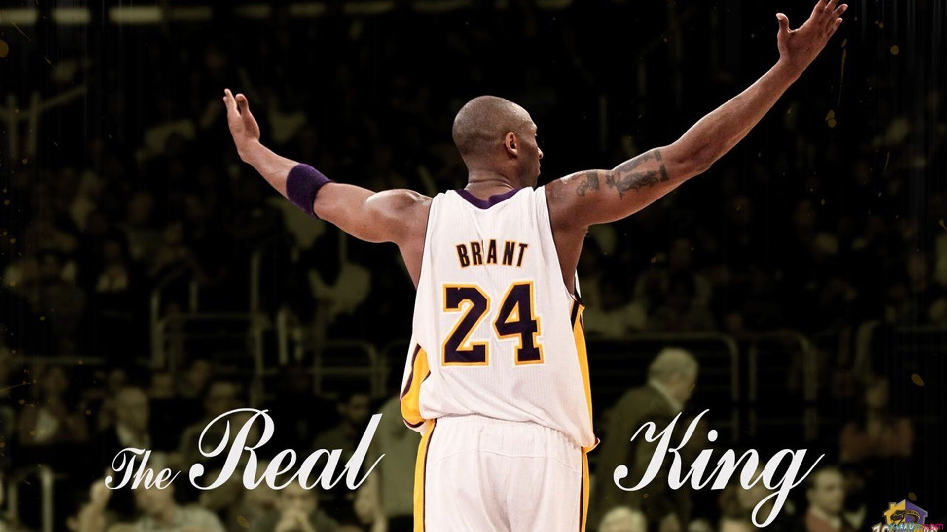 悉尼国王比赛节奏掌控出色，悉尼国王街